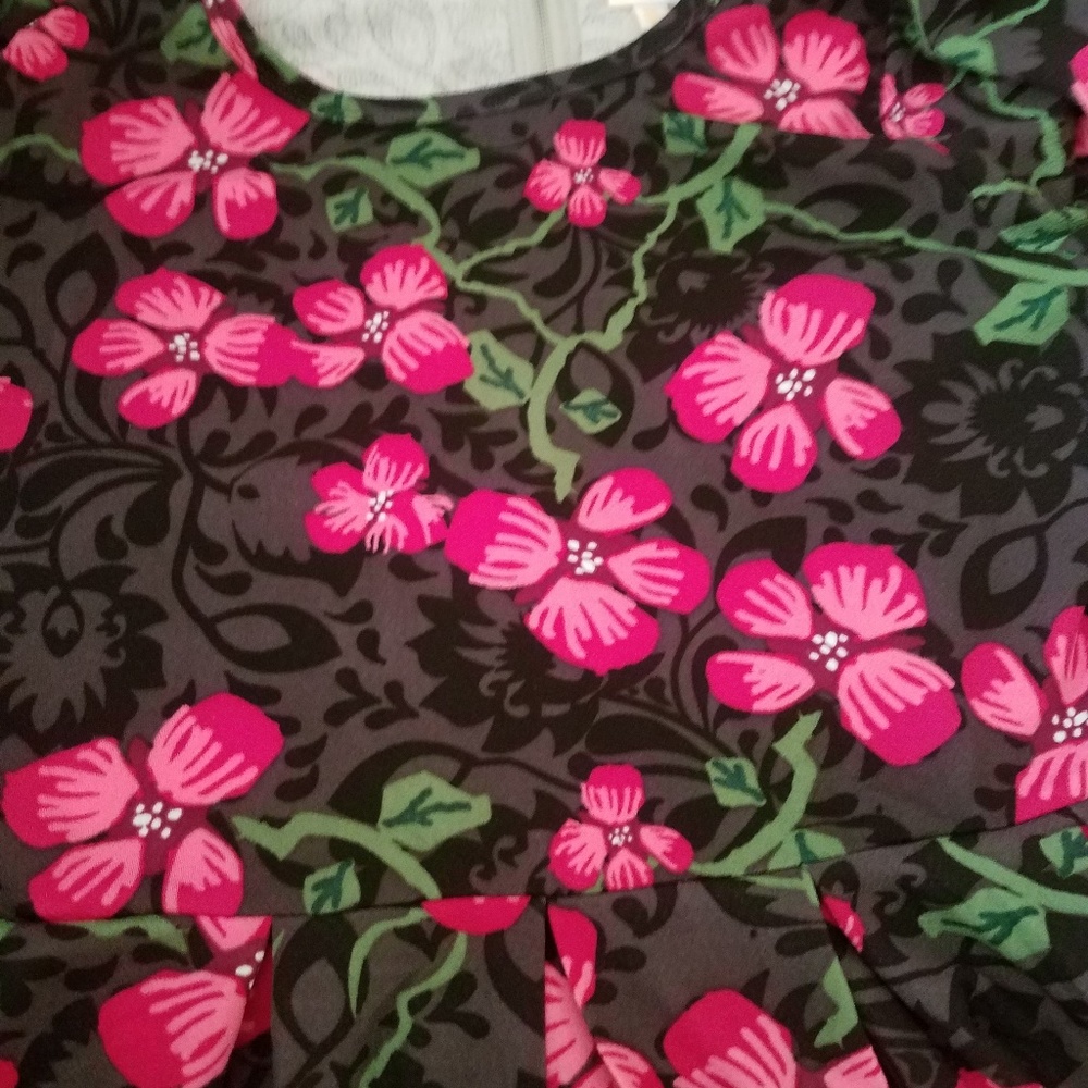 Lularoe Amelia dress